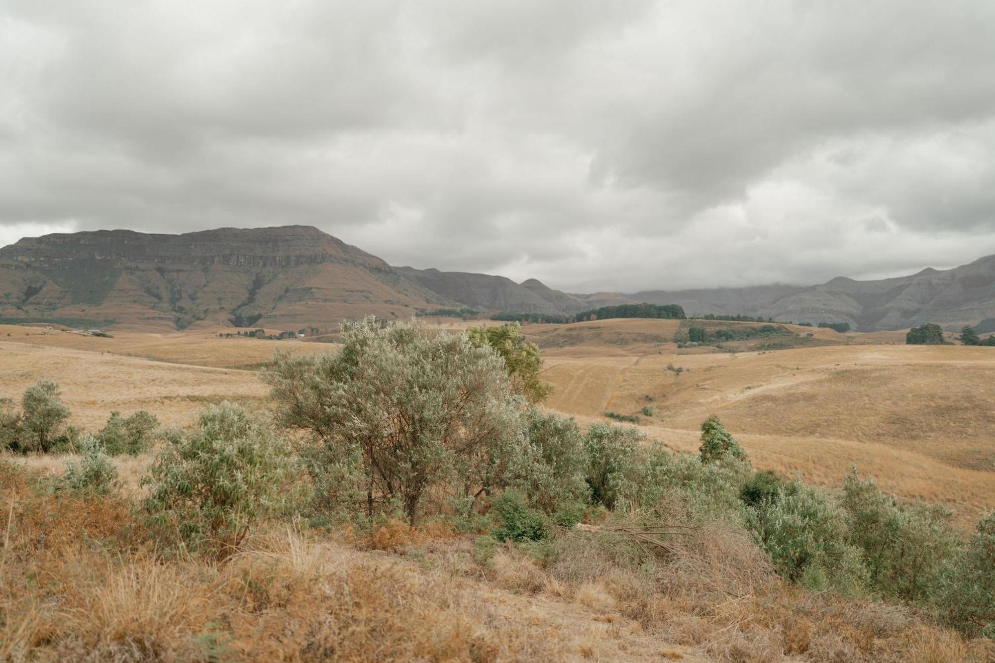Dragonview Lodge Champagne Valley Εξωτερικό φωτογραφία